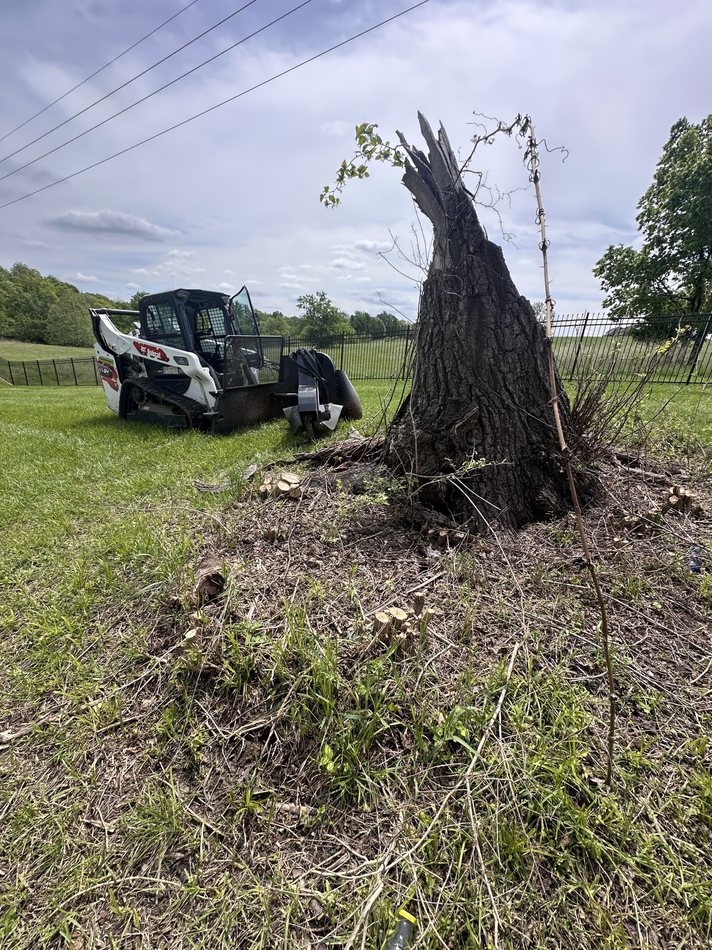 Compact track loader staged near a large stump for removal