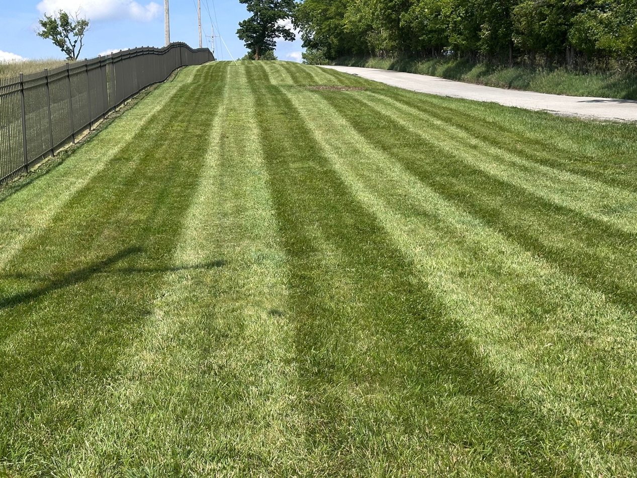 Freshly mowed grass with clean striping along a driveway